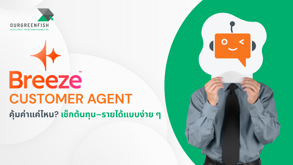 Breeze Customer Agent
