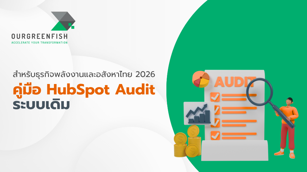 HubSpot Audit